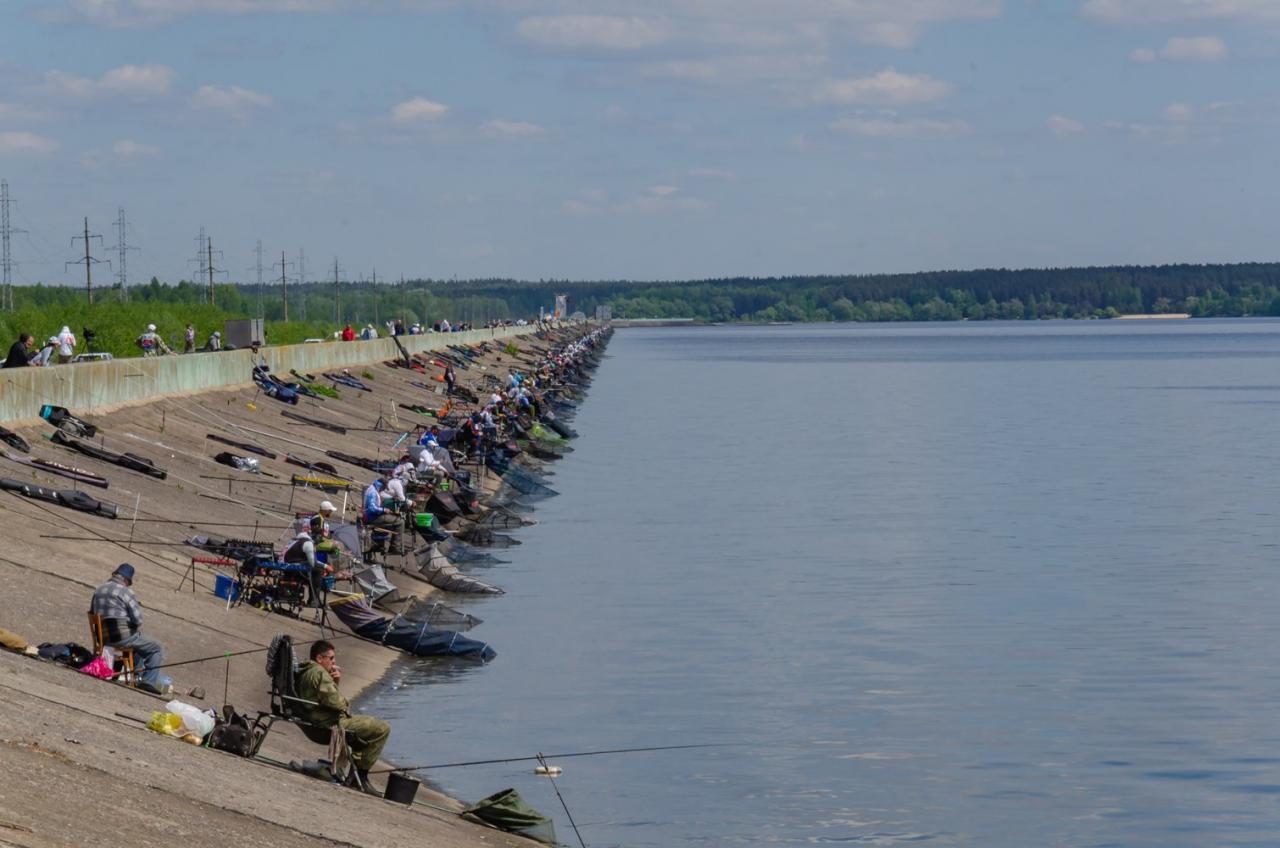 Липецкое водохранилище отдых. Матырское водохранилище Липецкая. Матырское водохранилище Липецк пляж. Матыра водохранилище Липецк. Матырское водохранилище липецкаякая область.